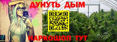 гашик Ливны