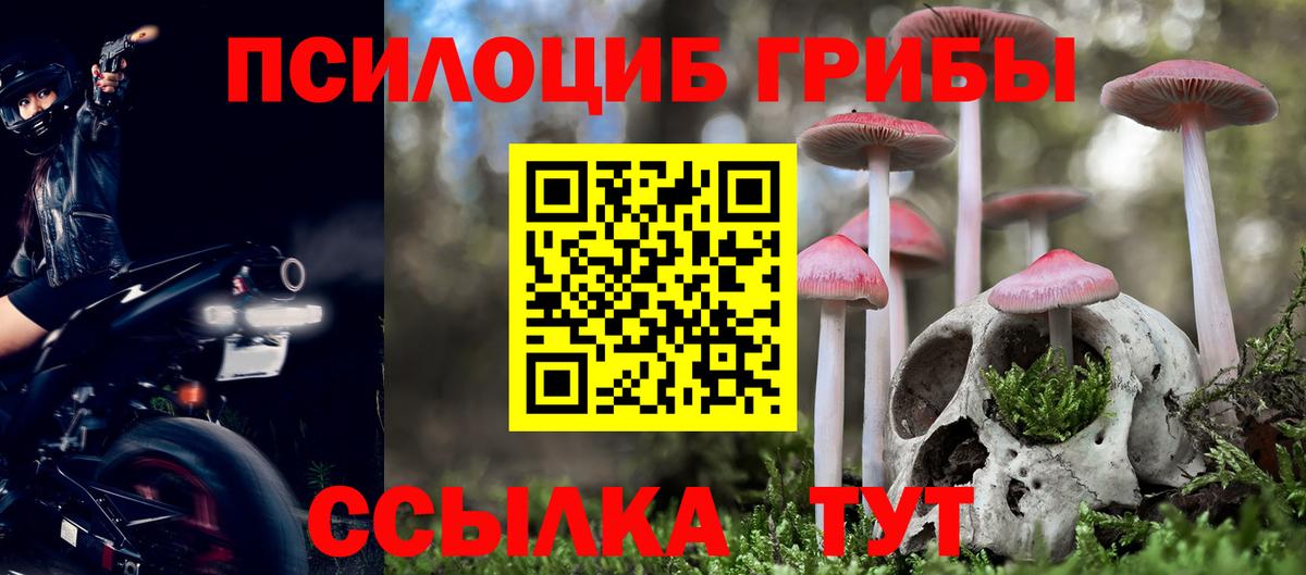 Псилоцибиновые грибы ЛСД  Вход с VPN  Вичуга 