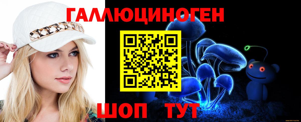 Псилоцибиновые грибы Psilocybine cubensis Вичуга